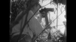 Toyo No Gaika (R4 of 14)