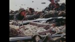 Peleliu: R-71 - Amphibious landing and land combat
