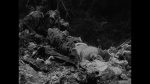 Peleliu: G-178 - Flag raising, Japanese POWs, front lines Ngesebus
