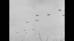 Normandy, The Airborne Invasion of Fortress Europe (R2 of 6)