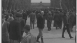 Germany: ADC-4471 - Atrocities at Dachau